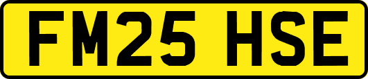 FM25HSE