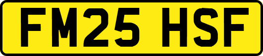 FM25HSF
