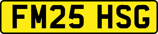 FM25HSG