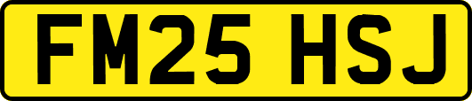 FM25HSJ