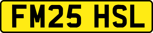 FM25HSL