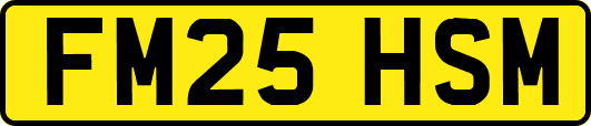 FM25HSM