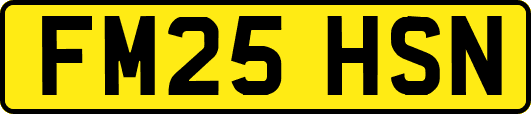 FM25HSN