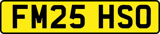 FM25HSO
