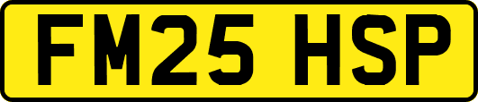 FM25HSP