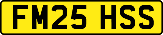 FM25HSS