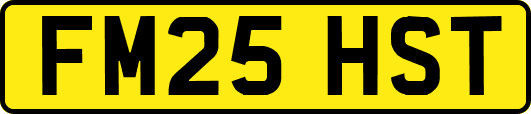 FM25HST