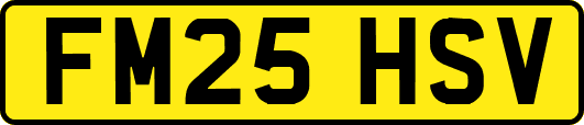FM25HSV