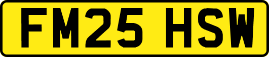 FM25HSW