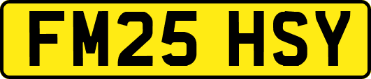 FM25HSY