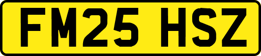 FM25HSZ