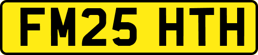 FM25HTH