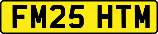 FM25HTM