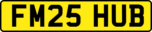 FM25HUB