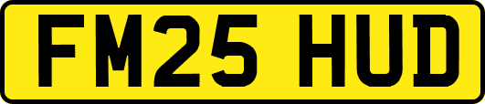 FM25HUD