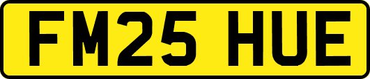 FM25HUE