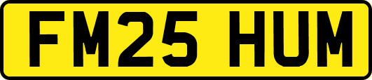 FM25HUM