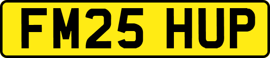 FM25HUP