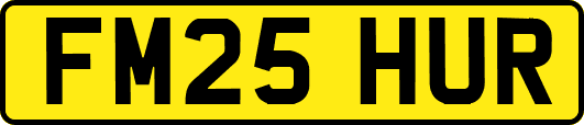 FM25HUR