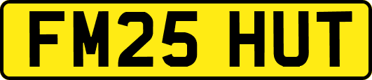 FM25HUT