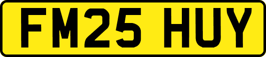 FM25HUY