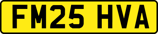 FM25HVA
