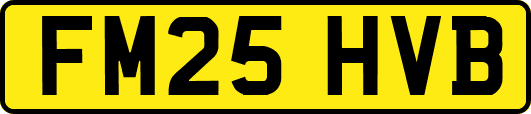 FM25HVB