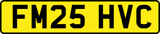 FM25HVC
