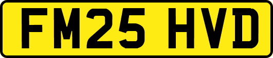 FM25HVD