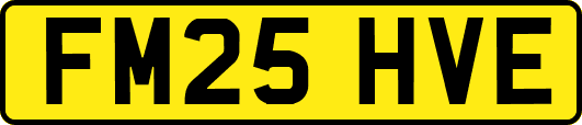 FM25HVE