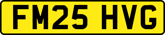 FM25HVG
