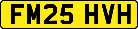 FM25HVH