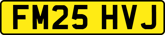 FM25HVJ
