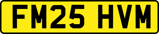 FM25HVM