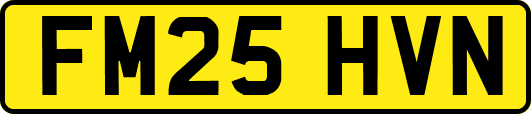 FM25HVN