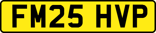 FM25HVP