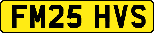 FM25HVS