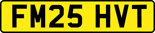 FM25HVT