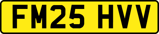 FM25HVV