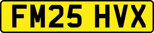 FM25HVX