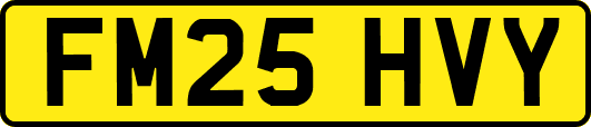 FM25HVY