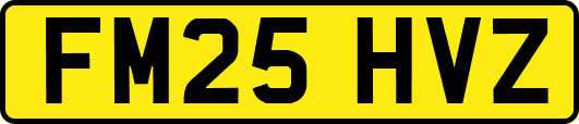 FM25HVZ