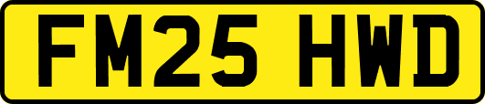 FM25HWD