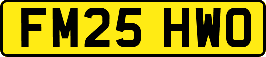 FM25HWO