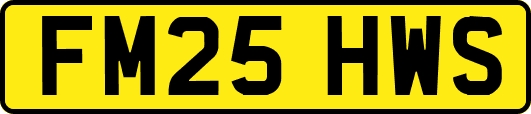 FM25HWS