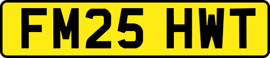 FM25HWT