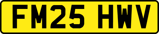 FM25HWV