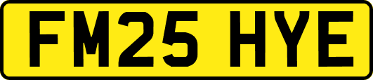 FM25HYE