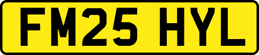 FM25HYL