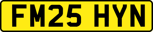 FM25HYN